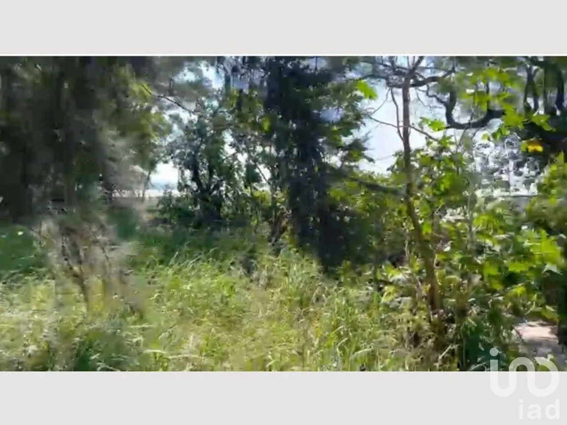 Terreno en Venta en San Isidro Mazatepec, Tala, Jalisco | NEX-273456 | iad México | Foto 9 de 14
