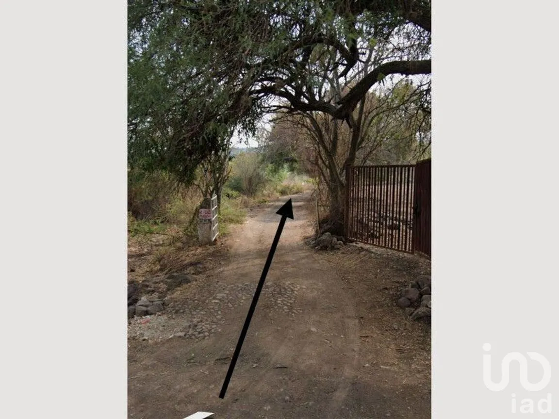 Terreno en Venta en Cajititlán, Tlajomulco de Zúñiga, Jalisco | NEX-274724 | iad México | Foto 1 de 7
