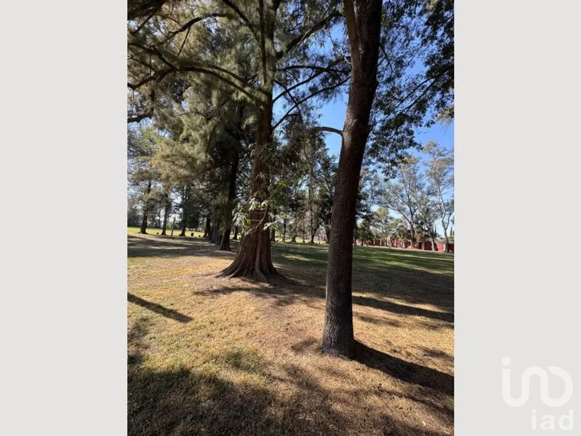 Terreno en Venta en San Agustin, Tlajomulco de Zúñiga, Jalisco | NEX-276443 | iad México | Foto 11 de 23
