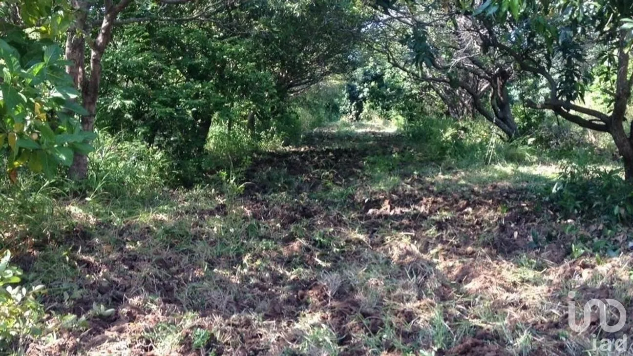 Terreno en Venta en De las Juntas Delegación, Puerto Vallarta, Jalisco | NEX-277495 | iad México | Foto 2 de 7