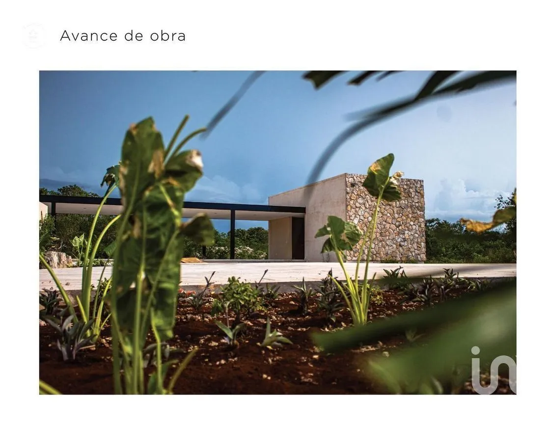 Terreno en Venta en Paraíso, Mérida, Yucatán | NEX-229656 | iad México | Foto 14 de 36
