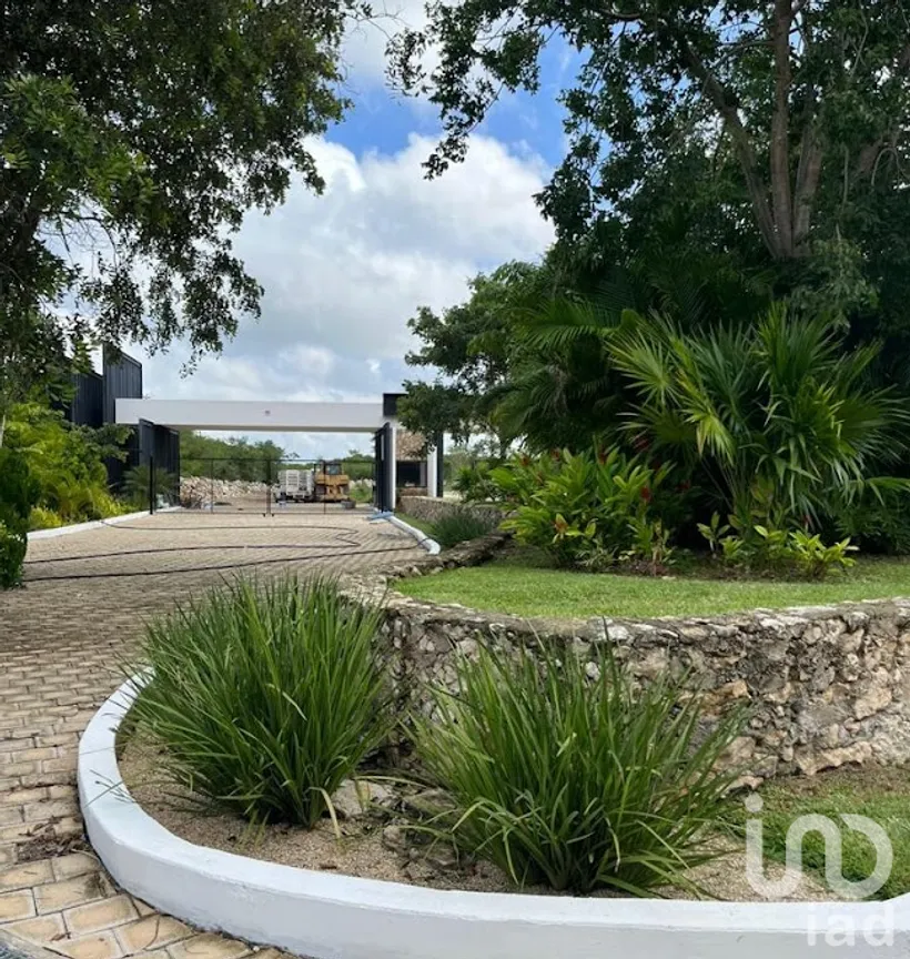 Terreno en Venta en Paraíso, Mérida, Yucatán | NEX-229656 | iad México | Foto 20 de 36