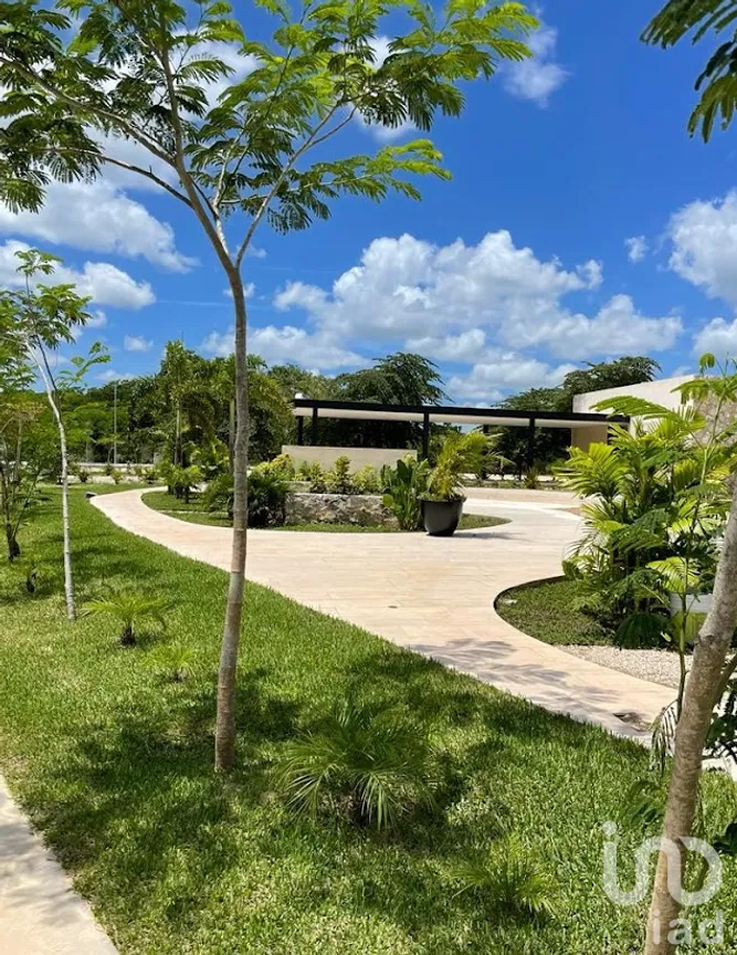 Terreno en Venta en Paraíso, Mérida, Yucatán | NEX-229656 | iad México | Foto 21 de 36