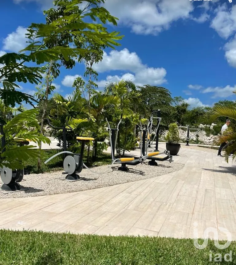 Terreno en Venta en Paraíso, Mérida, Yucatán | NEX-229656 | iad México | Foto 23 de 36