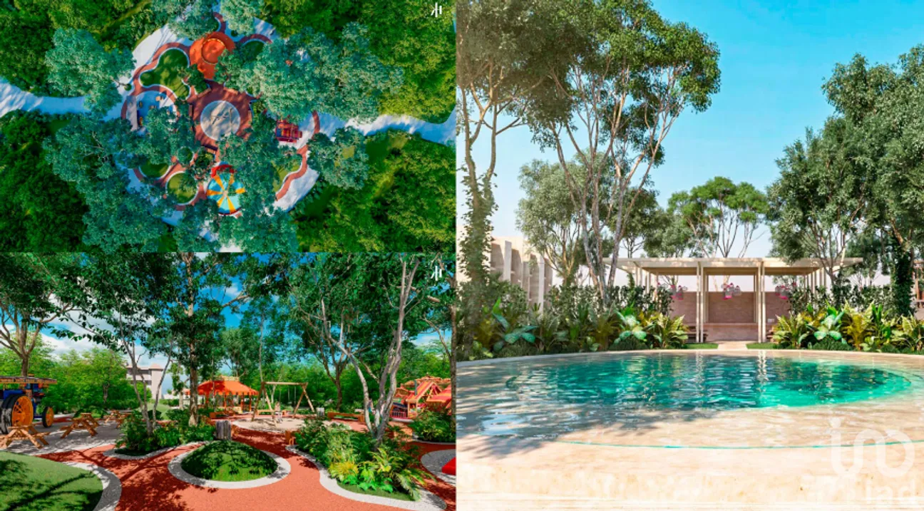 Terreno en Venta en San Crisanto, Sinanché, Yucatán | NEX-229658 | iad México | Foto 15 de 38