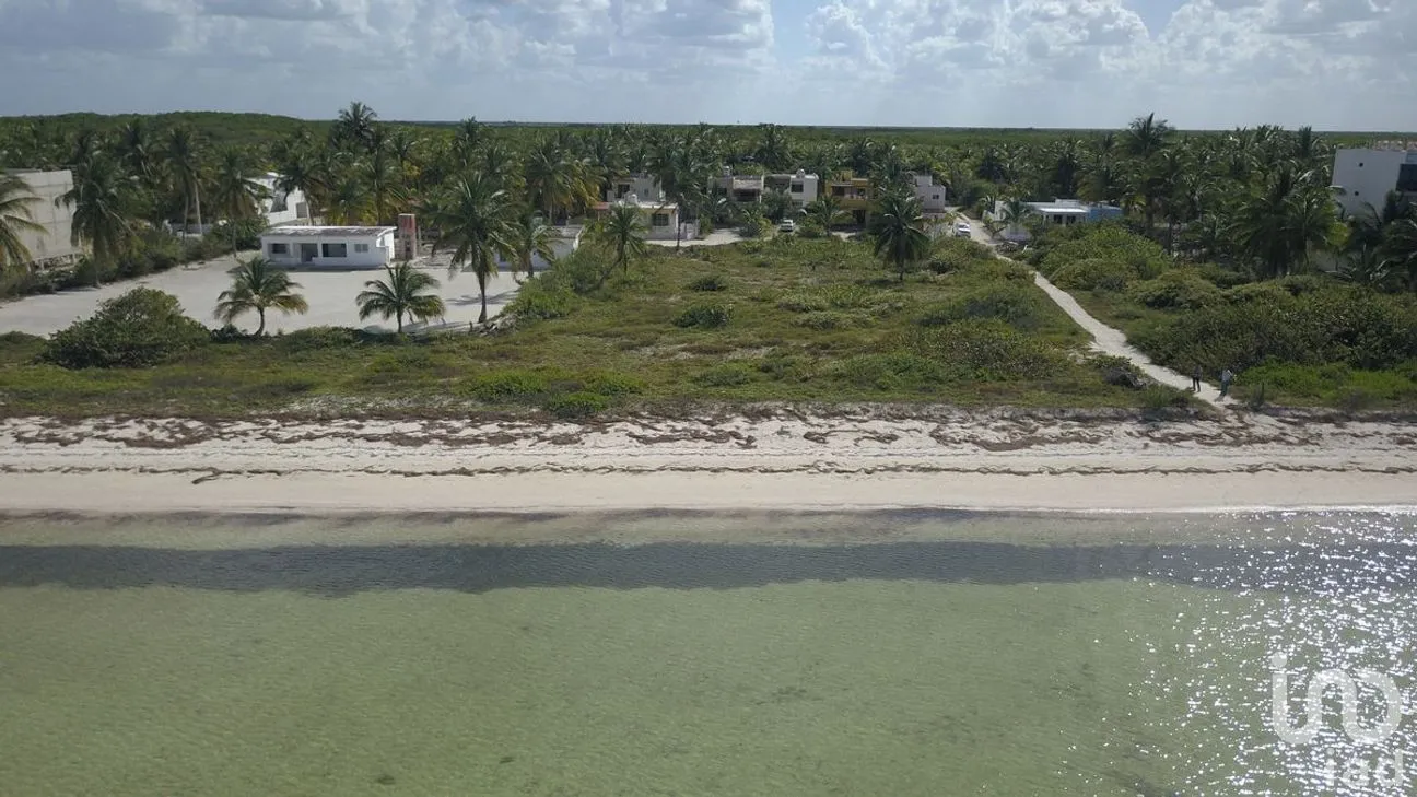 Departamento en Venta en San Crisanto, Sinanché, Yucatán | NEX-266535 | iad México | Foto 14 de 14