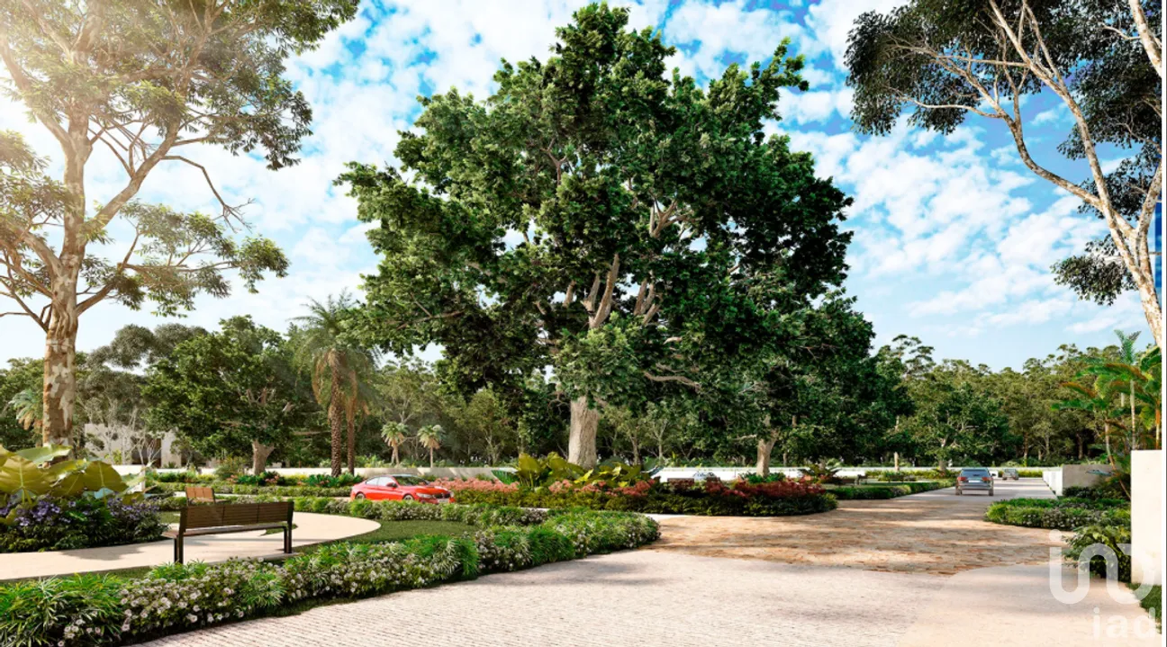 Terreno en Venta en Tamanché, Mérida, Yucatán | NEX-267532 | iad México | Foto 12 de 16