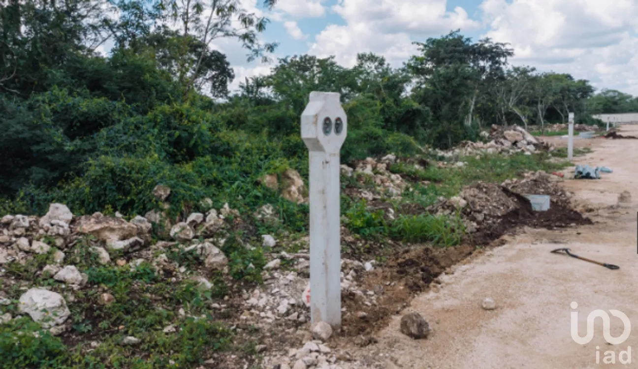Terreno en Venta en Yaxkukul, Yaxkukul, Yucatán | NEX-267560 | iad México | Foto 11 de 20