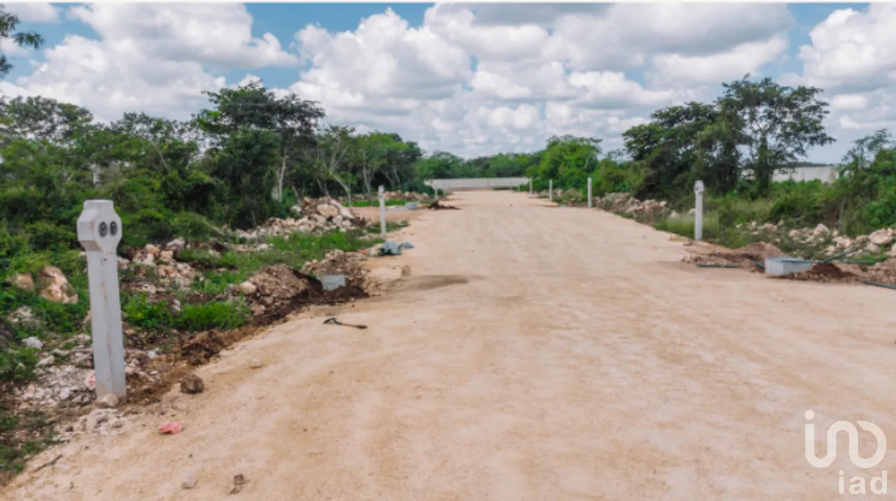 Terreno en Venta en Yaxkukul, Yaxkukul, Yucatán | NEX-267560 | iad México | Foto 12 de 20