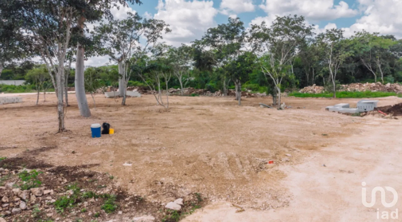 Terreno en Venta en Yaxkukul, Yaxkukul, Yucatán | NEX-267560 | iad México | Foto 13 de 20