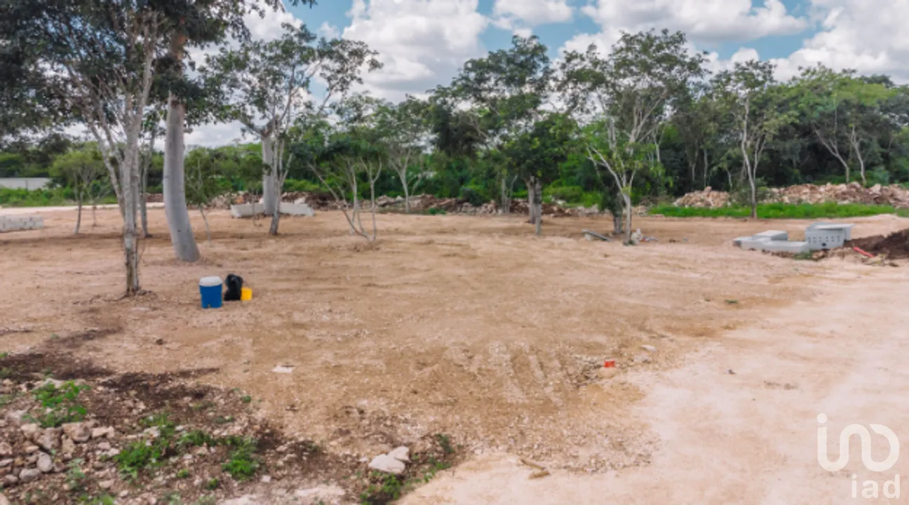Terreno en Venta en Yaxkukul, Yaxkukul, Yucatán | NEX-267560 | iad México | Foto 14 de 20