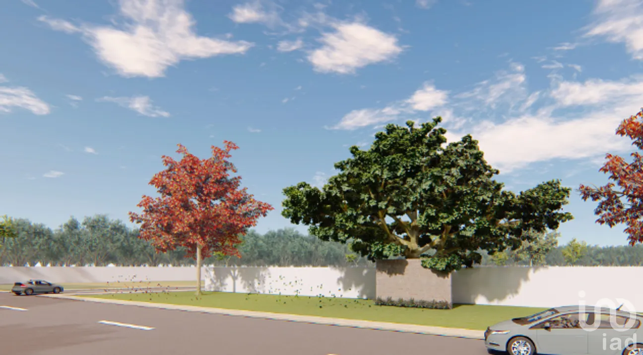 Terreno en Venta en Yaxkukul, Yaxkukul, Yucatán | NEX-267560 | iad México | Foto 18 de 20
