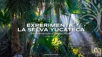 NEX-267563 - Terreno en Venta en Yaxkukul, CP 97348, Yucatán.