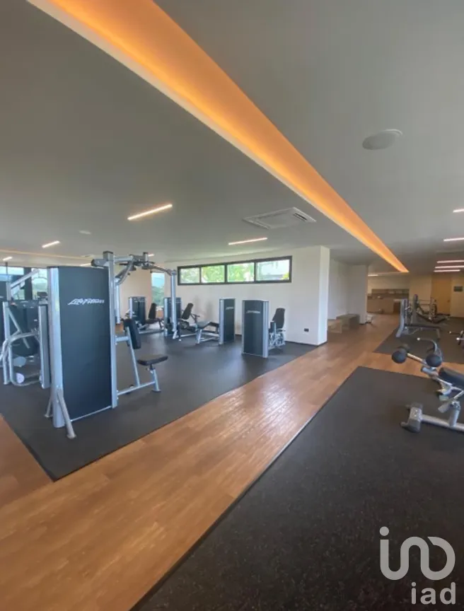 Terreno en Venta en Tamanché, Mérida, Yucatán | NEX-267568 | iad México | Foto 6 de 10