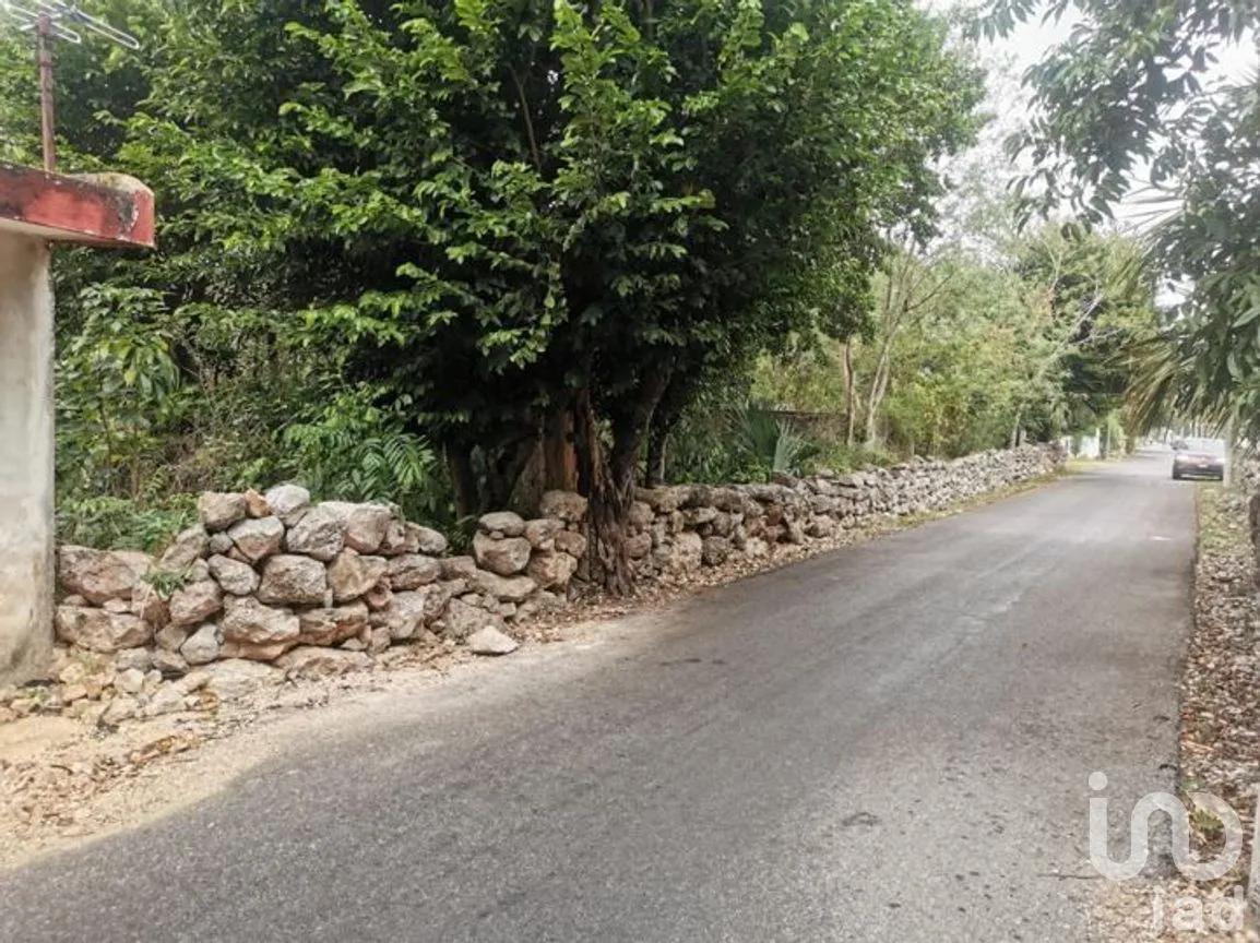 Terreno en Venta en Baca, Baca, Yucatán | NEX-267581 | iad México | Foto 2 de 5