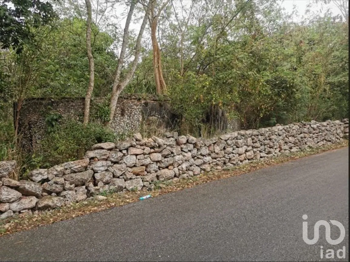 Terreno en Venta en Baca, Baca, Yucatán | NEX-267581 | iad México | Foto 3 de 5