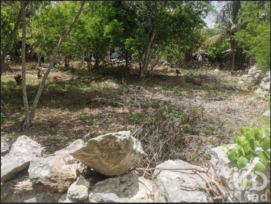 Terreno en Venta en Baca, Baca, Yucatán | NEX-267581 | iad México | Foto 4 de 5