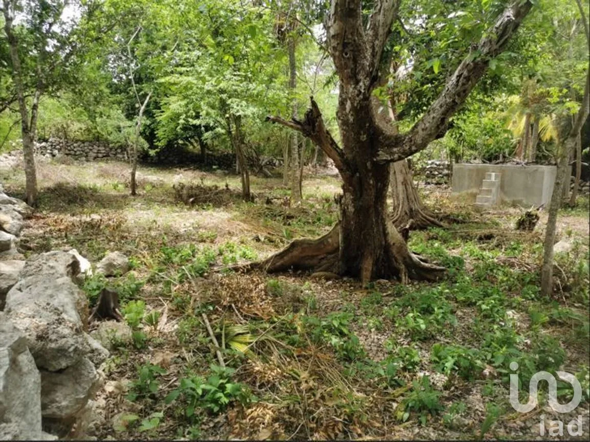 Terreno en Venta en Baca, Baca, Yucatán | NEX-267581 | iad México | Foto 1 de 5