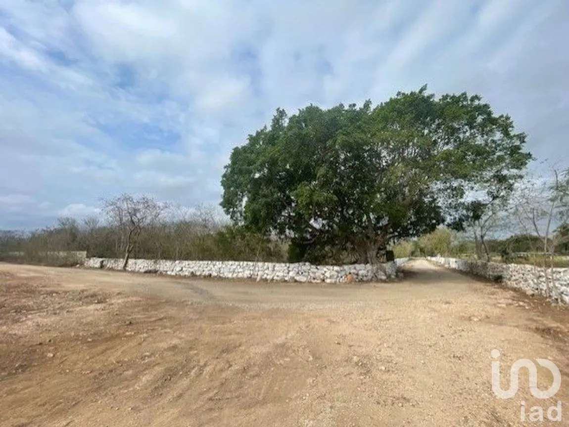 Terreno en Venta en Baca, Baca, Yucatán | NEX-267582 | iad México | Foto 2 de 10