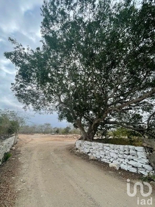 Terreno en Venta en Baca, Baca, Yucatán | NEX-267582 | iad México | Foto 3 de 10