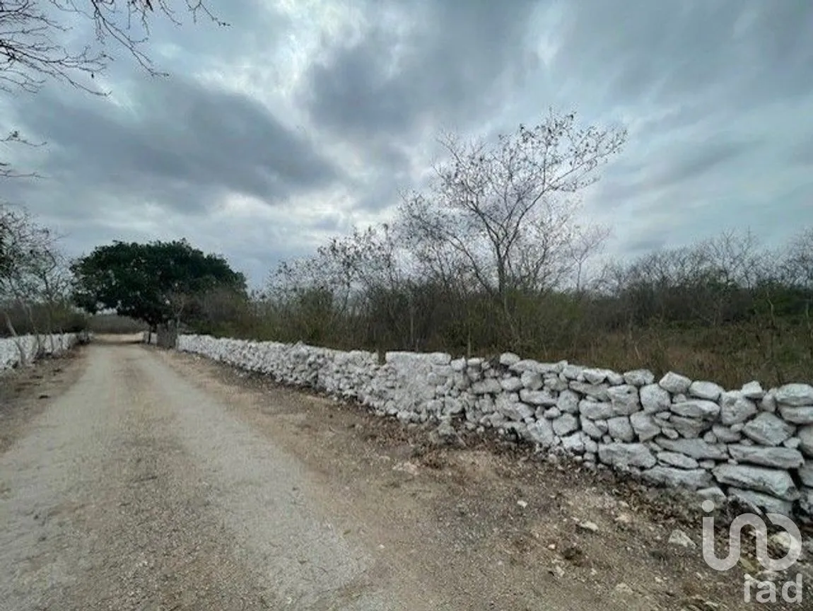 Terreno en Venta en Baca, Baca, Yucatán | NEX-267582 | iad México | Foto 4 de 10