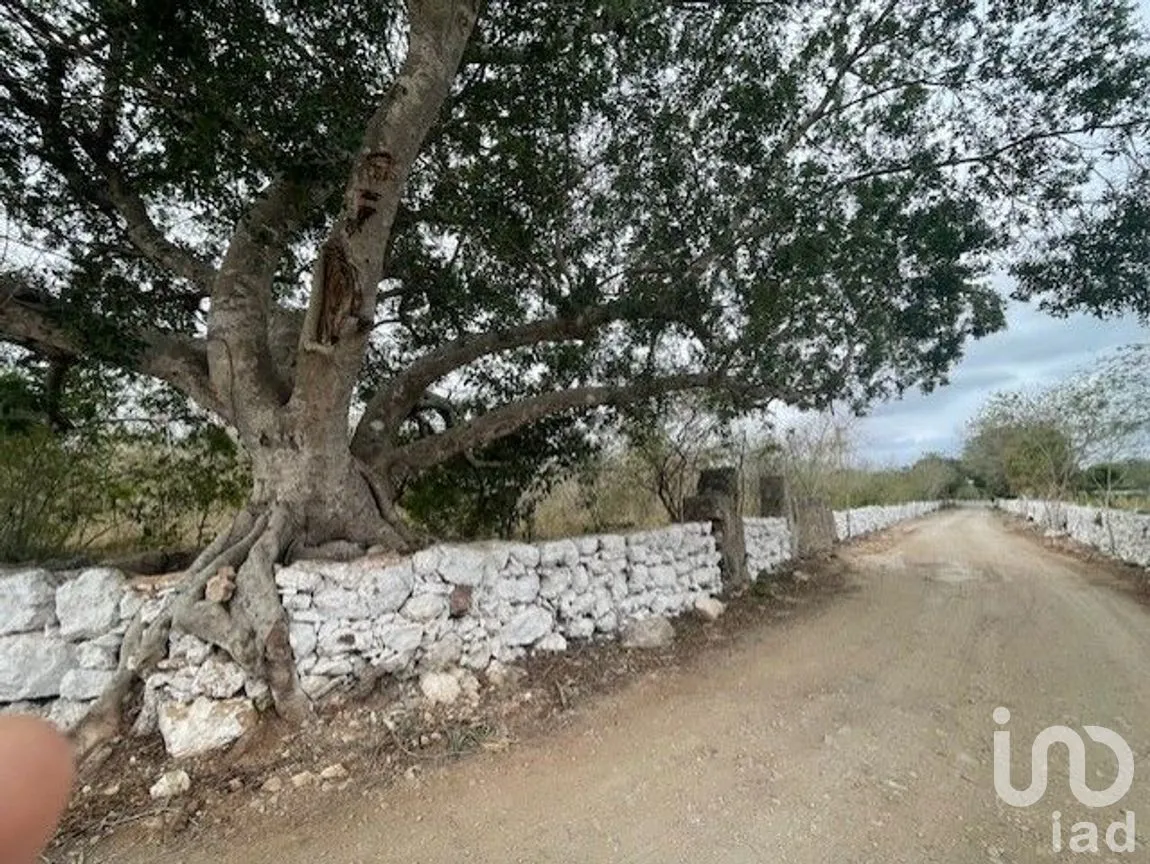 Terreno en Venta en Baca, Baca, Yucatán | NEX-267582 | iad México | Foto 5 de 10