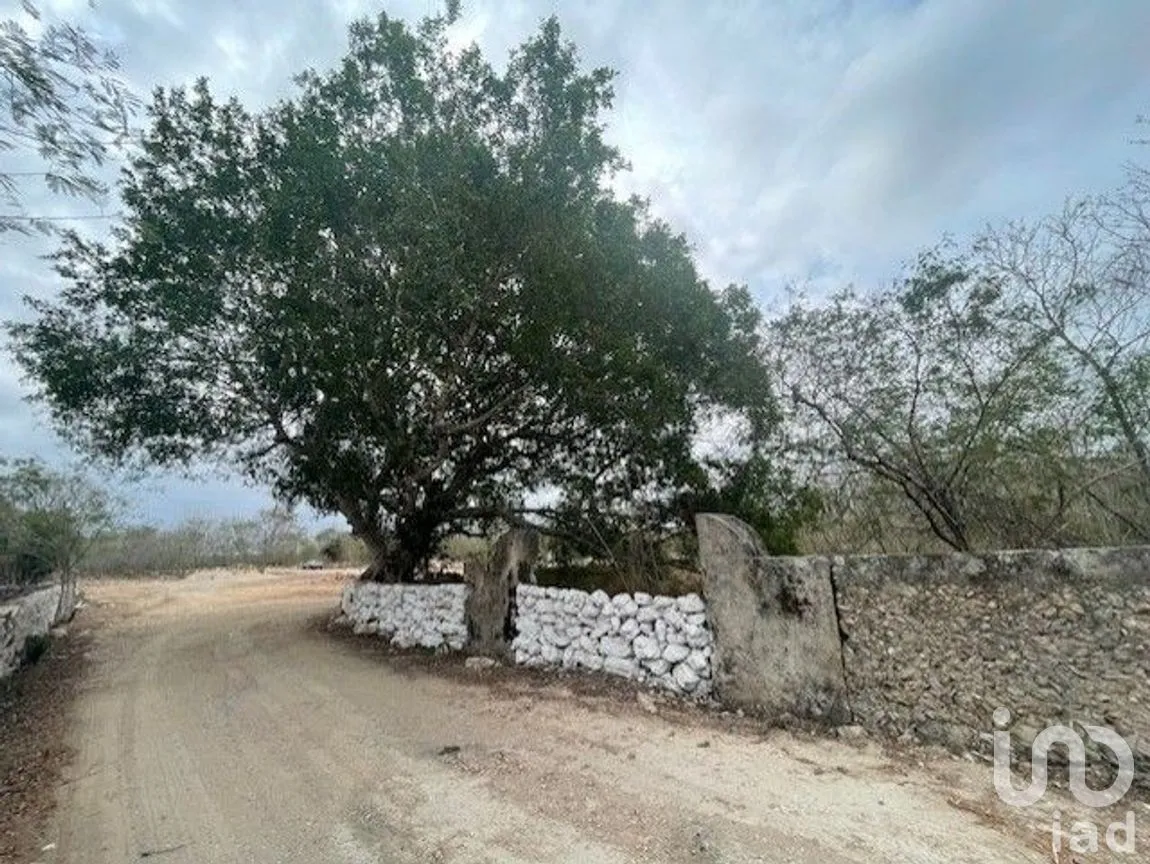 Terreno en Venta en Baca, Baca, Yucatán | NEX-267582 | iad México | Foto 6 de 10