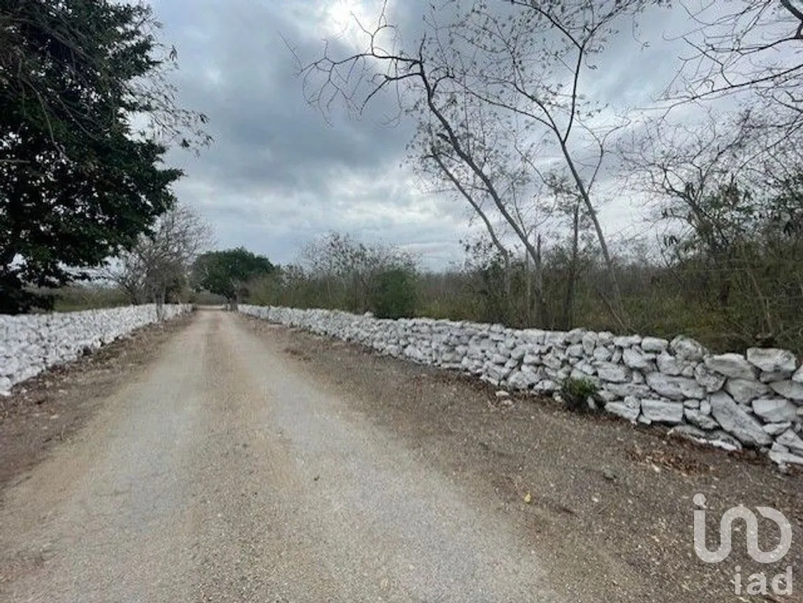 Terreno en Venta en Baca, Baca, Yucatán | NEX-267582 | iad México | Foto 7 de 10
