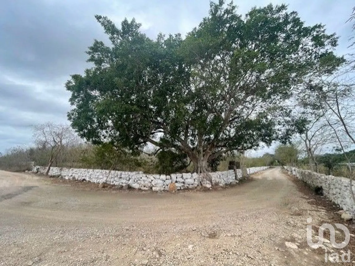 Terreno en Venta en Baca, Baca, Yucatán | NEX-267582 | iad México | Foto 8 de 10