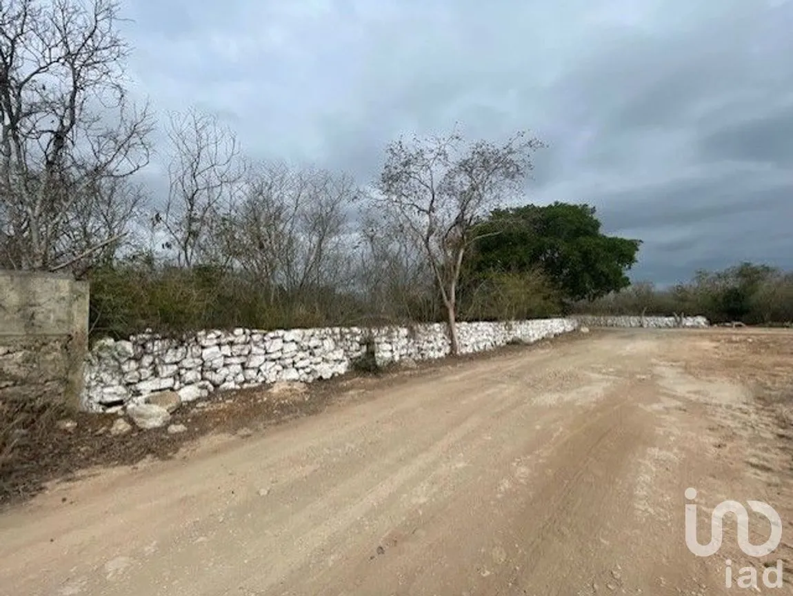 Terreno en Venta en Baca, Baca, Yucatán | NEX-267582 | iad México | Foto 9 de 10