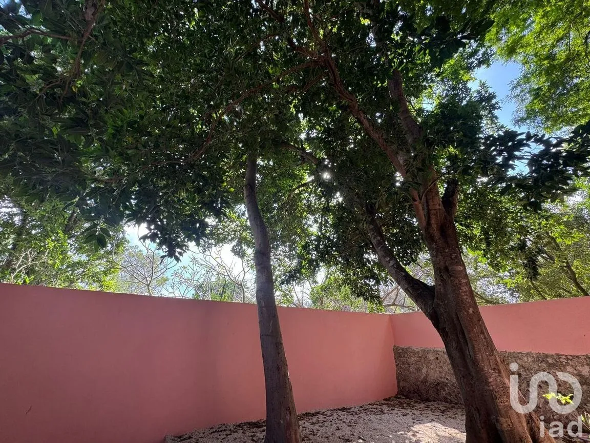 Casa en Venta en Mérida Centro, Mérida, Yucatán | NEX-277092 | iad México | Foto 22 de 25