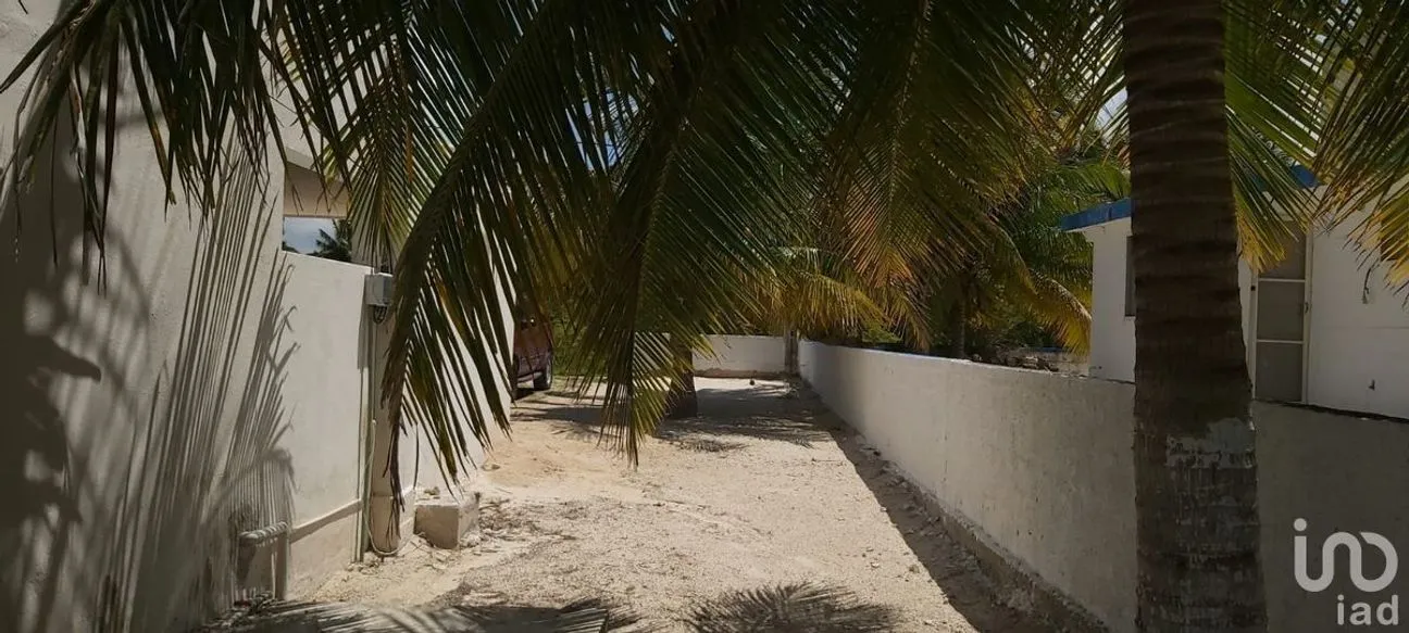 Casa en Renta en San Crisanto, Sinanché, Yucatán | NEX-74950 | iad México | Foto 21 de 28