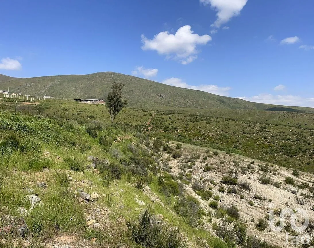 Terreno en Venta en Granjas Buenos Aires Sección La Palma, Tijuana, Baja California | NEX-231357 | iad México | Foto 6 de 10