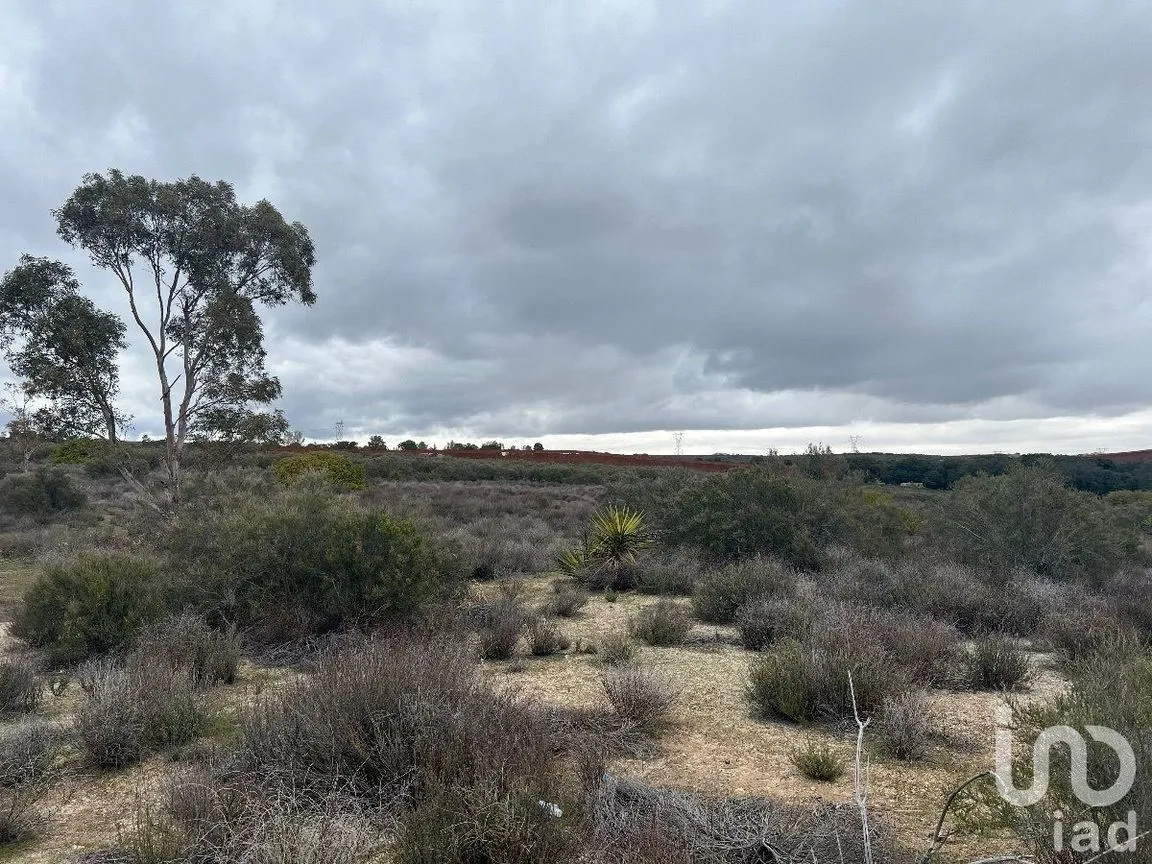 Terreno en Venta en Loma Tova, Tecate, Baja California | NEX-231388 | iad México | Foto 2 de 10