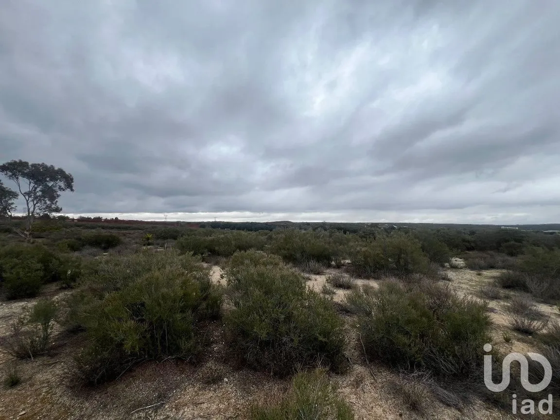 Terreno en Venta en Loma Tova, Tecate, Baja California | NEX-231388 | iad México | Foto 5 de 10