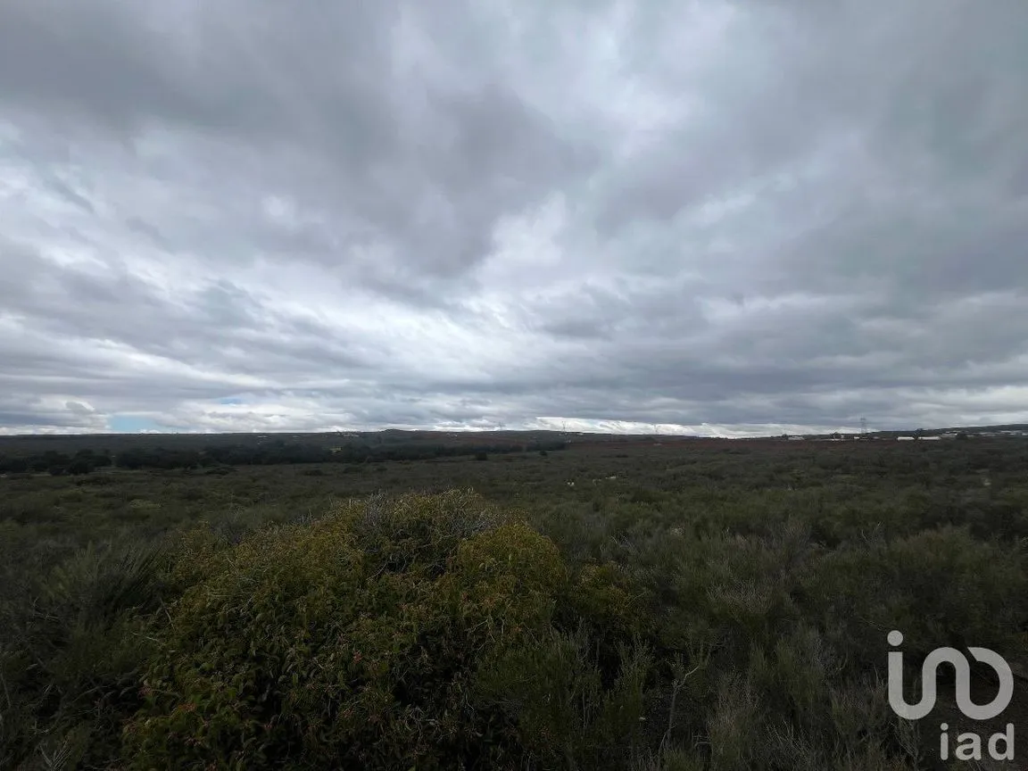 Terreno en Venta en Loma Tova, Tecate, Baja California | NEX-231388 | iad México | Foto 8 de 10