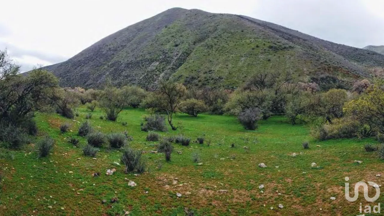 Terreno en Venta en Valle de las Palmas, Tecate, Baja California | NEX-231396 | iad México | Foto 6 de 13