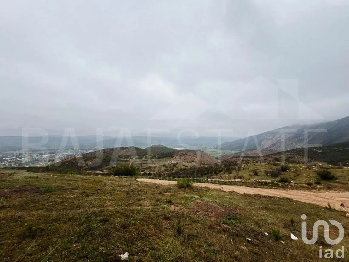 Terreno en Venta en Francisco Zarco, Ensenada, Baja California | NEX-231450 | iad México | Foto 13 de 16