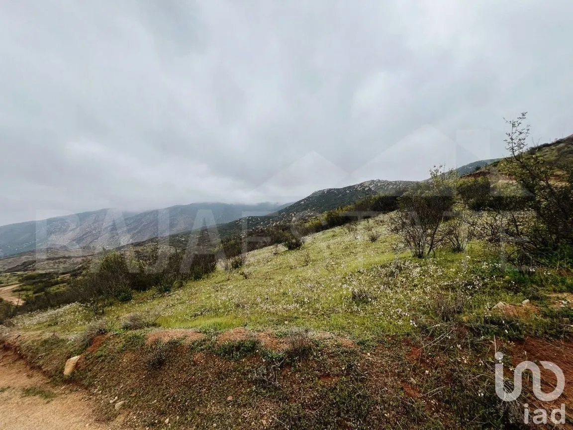 Terreno en Venta en Francisco Zarco, Ensenada, Baja California | NEX-231450 | iad México | Foto 3 de 16