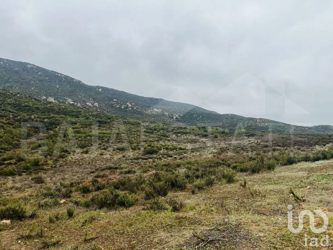 Terreno en Venta en Francisco Zarco, Ensenada, Baja California | NEX-231450 | iad México | Foto 4 de 16