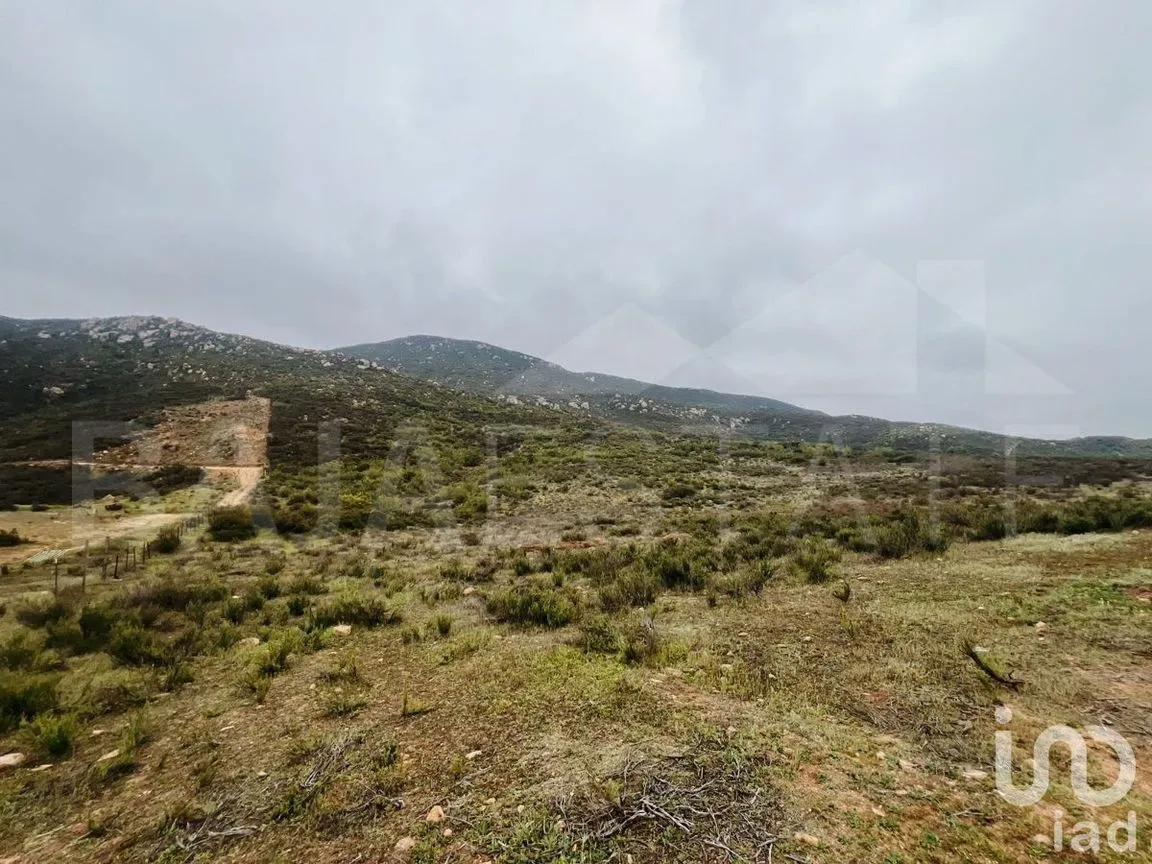 Terreno en Venta en Francisco Zarco, Ensenada, Baja California | NEX-231450 | iad México | Foto 5 de 16
