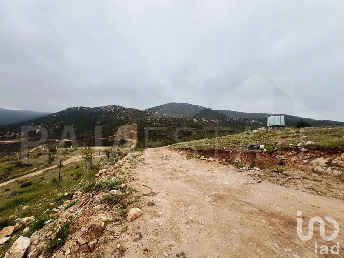 Terreno en Venta en Francisco Zarco, Ensenada, Baja California | NEX-231450 | iad México | Foto 8 de 16