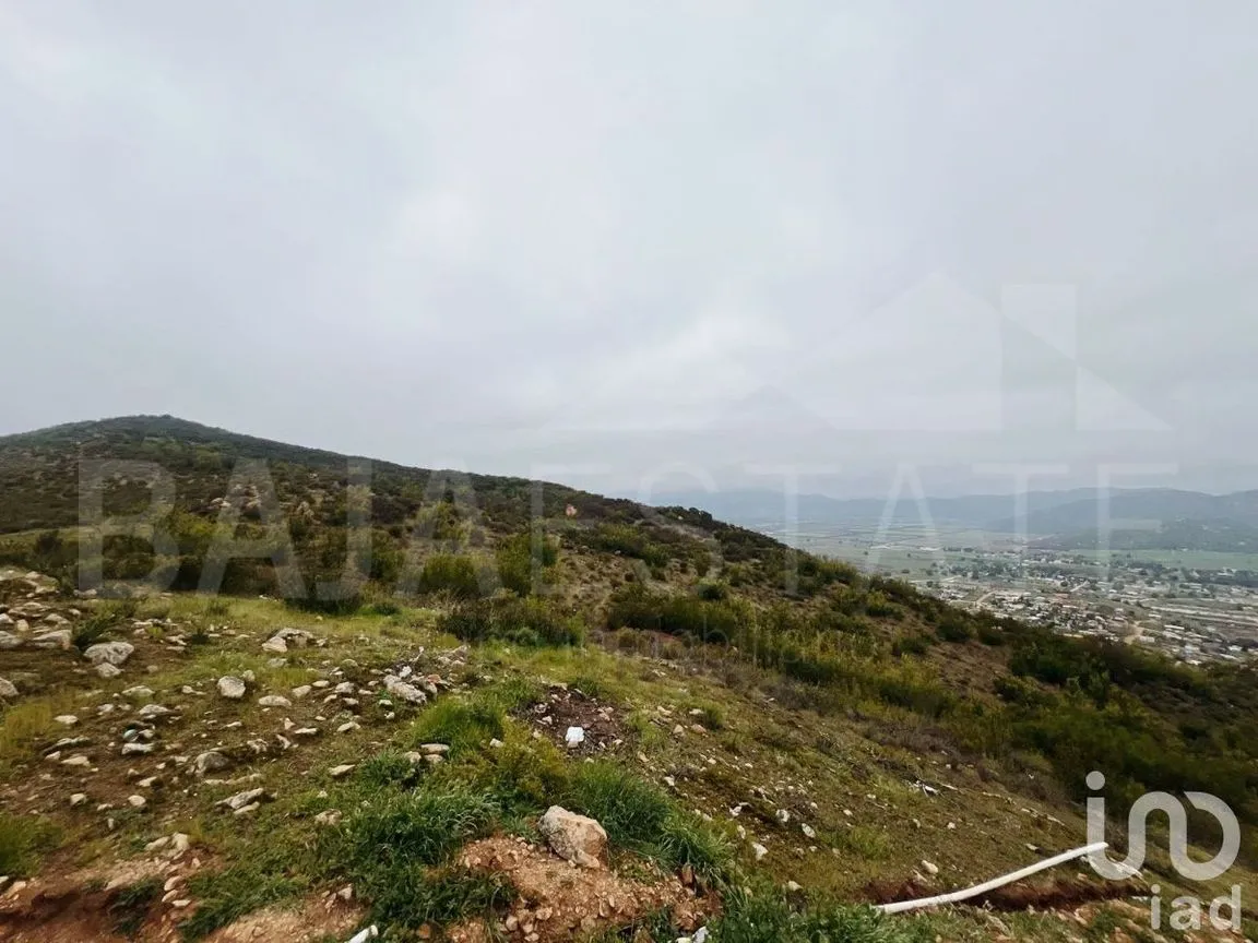 Terreno en Venta en Francisco Zarco, Ensenada, Baja California | NEX-231450 | iad México | Foto 9 de 16