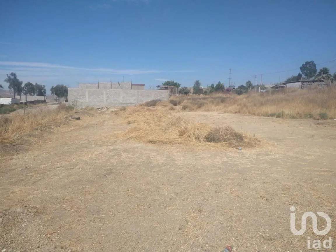 Terreno en Renta en Viñedos Casa Blanca, Tijuana, Baja California | NEX-231487 | iad México | Foto 2 de 4