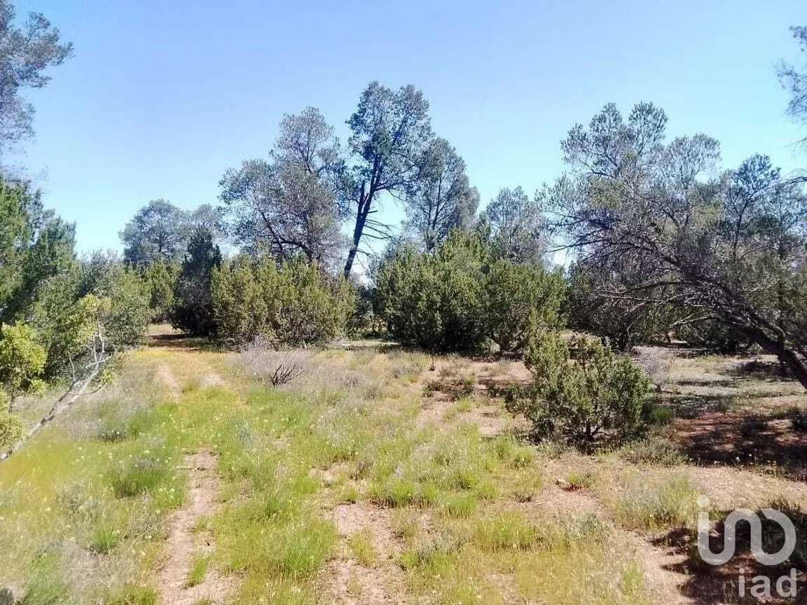 Terreno en Venta en La Rumorosa, Tecate, Baja California | NEX-231494 | iad México | Foto 2 de 6