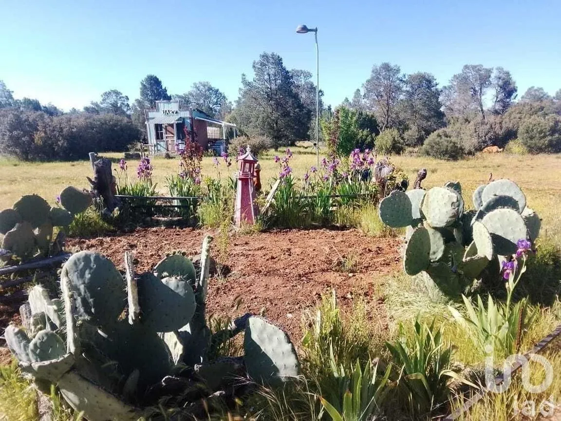 Terreno en Venta en La Rumorosa, Tecate, Baja California | NEX-231494 | iad México | Foto 3 de 6