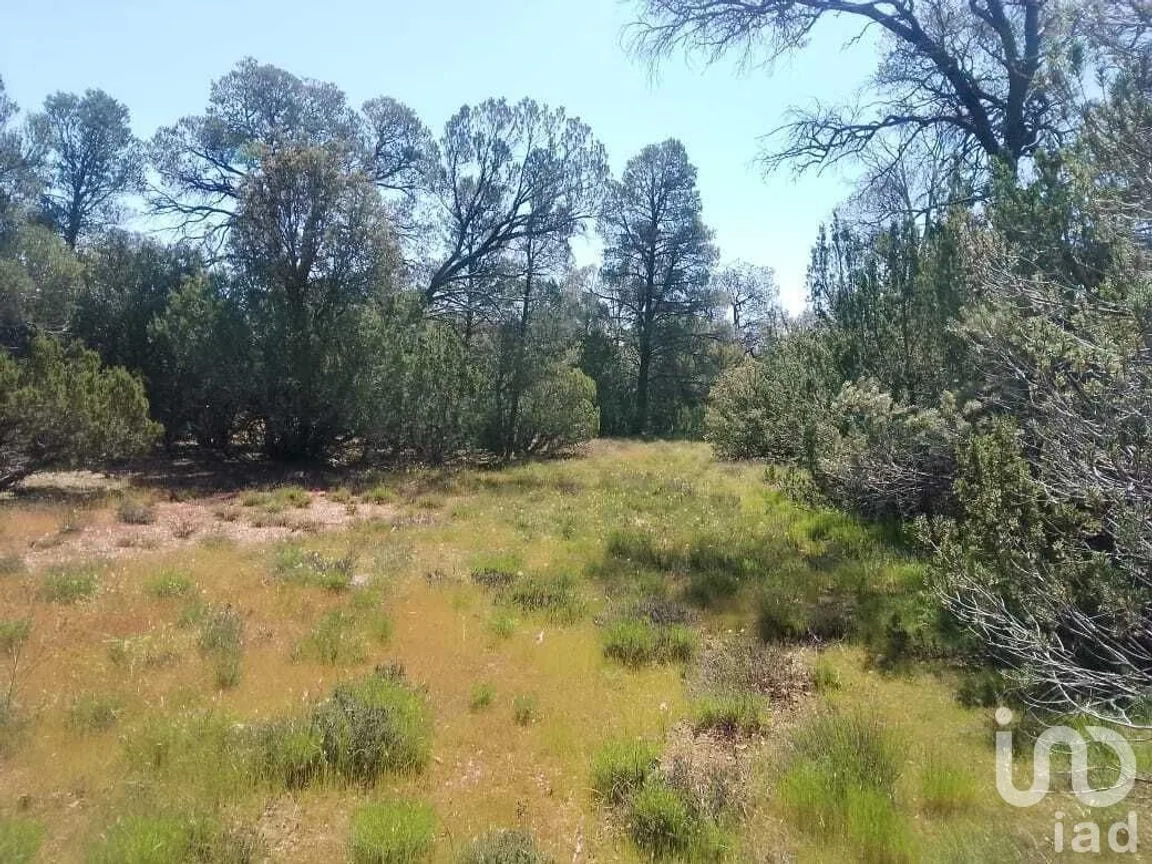 Terreno en Venta en La Rumorosa, Tecate, Baja California | NEX-231494 | iad México | Foto 4 de 6