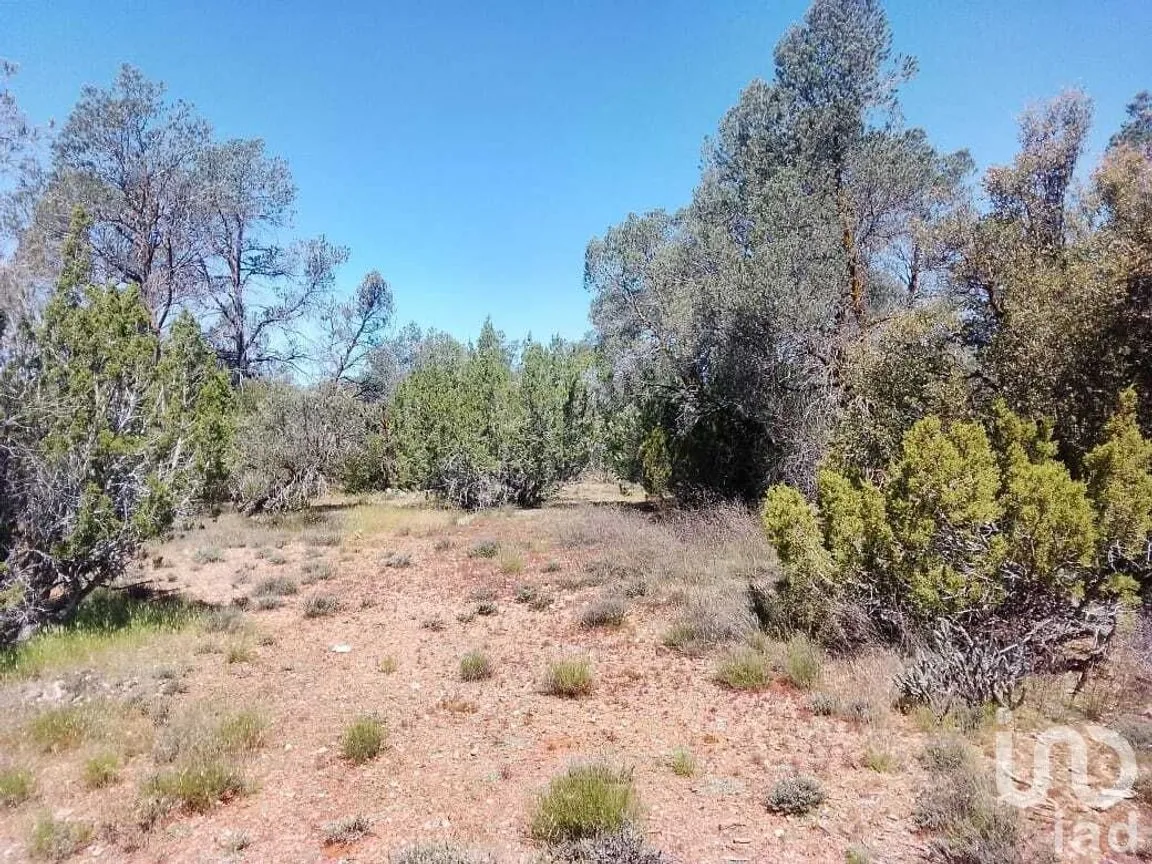 Terreno en Venta en La Rumorosa, Tecate, Baja California | NEX-231494 | iad México | Foto 5 de 6