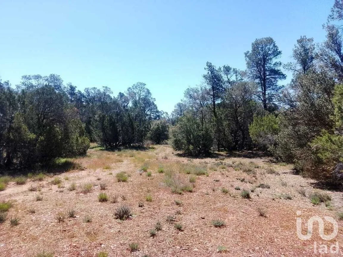 Terreno en Venta en La Rumorosa, Tecate, Baja California | NEX-231494 | iad México | Foto 1 de 6