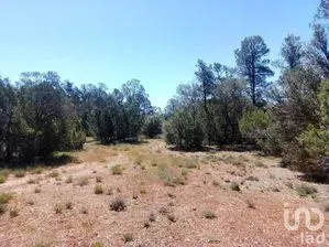 NEX-231494 - Terreno en Venta en La Rumorosa, CP 21510, Baja California.